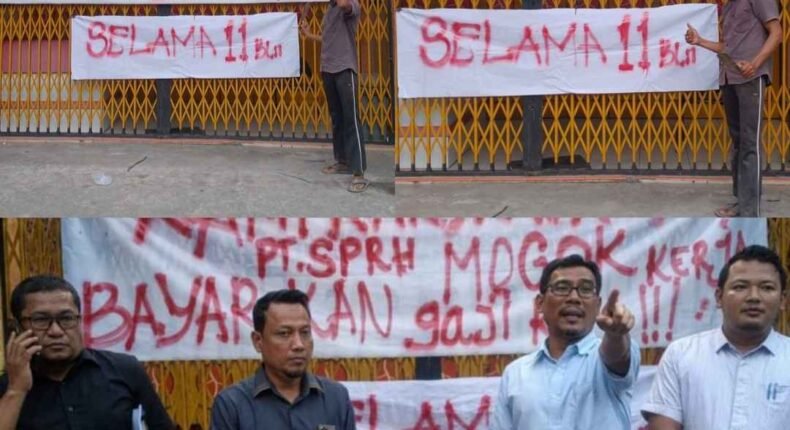 foto slider headline