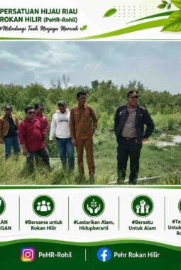 PeHR-Rohil Bersama Kapolsek Sinaboi Tinjau Lokasi Penanaman Mangrove, Perkuat Benteng Pesisir dan Sukseskan Mangrove Fest 2026