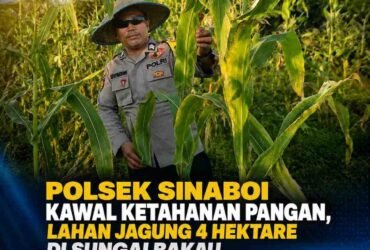 headline-foto