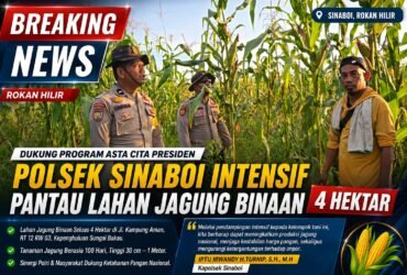 headline-foto