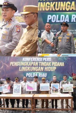 Kapolda Riau Datangi Lokasi Perusakan Mangrove Seluas 118 Hektare di Rohil, 2 Pelaku Ditangkap