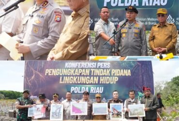 headline-foto