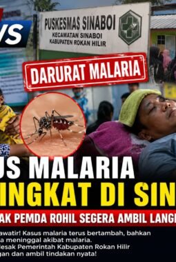 Kasus Malaria Meningkat di Sinaboi, Warga Desak Pemda Rohil Segera Ambil Langkah Konkret