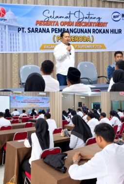 590 Peserta Ikuti Open Recruitment PT SPRH Rohil, 176 Lolos Seleksi Administrasi
