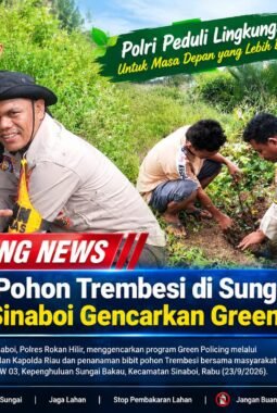 Tanam Pohon Trembesi di Sungai Bakau, Polsek Sinaboi Gencarkan Green Policing