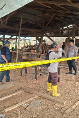 Bongkar Kayu Tanpa Izin di Sinaboi, Polisi Amankan 2 Tersangka dan Ratusan Kayu Olahan