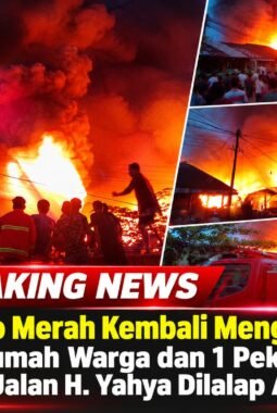 Sijago Merah Kembali Mengamuk, 8 Rumah Warga dan 1 Pekong di Jalan H. Yahya Dilalap Api