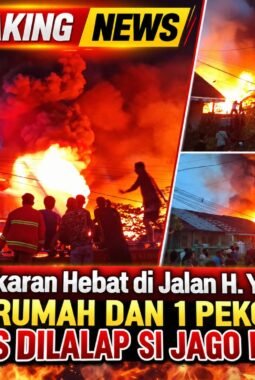 Kebakaran Hebat di Jalan H. Yahya, 13 Rumah dan 1 Pekong Ludes Dilalap Si Jago Merah