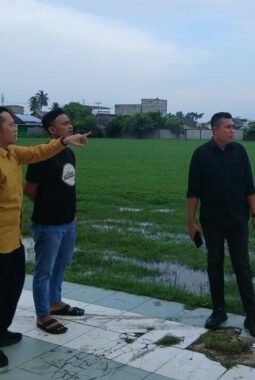 Ketua PSSI Rohil Dampingi Kadisparpora Tinjau Lapangan KONI, Fasilitas Olahraga Bakal Dibenahi