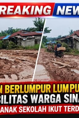 Jalan Berlumpur Lumpuhkan Mobilitas Warga Sinaboi, Akses Anak Sekolah Ikut Terdampak